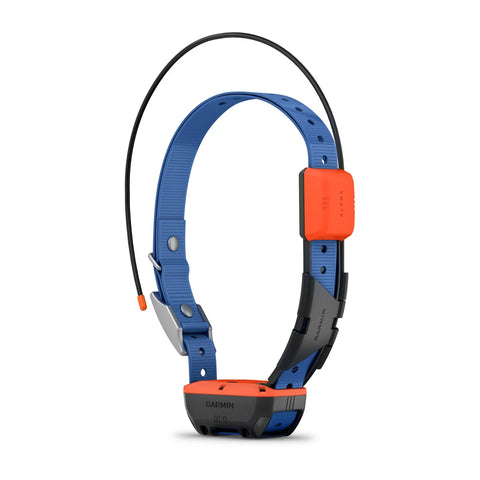 Alpha® T 20 Dog Collar