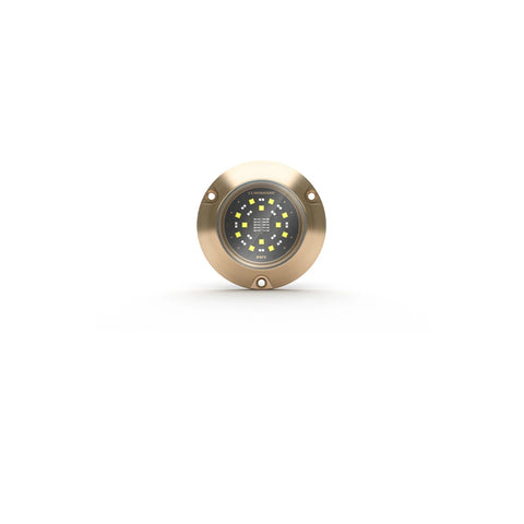Lumishore® SMX54 Underwater Surface Mount