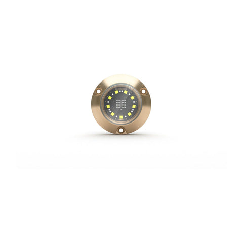 Lumishore® SMX24 Underwater Surface Mount