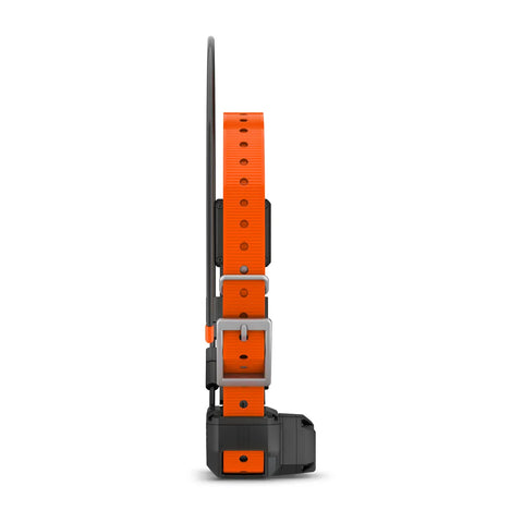 Alpha® TT 25 Dog Collar with Tracking Beeper