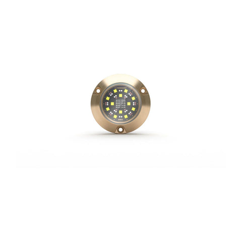Lumishore® SMX94 Underwater Surface Mount