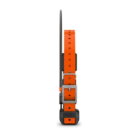 Alpha® TT 25 Dog Collar