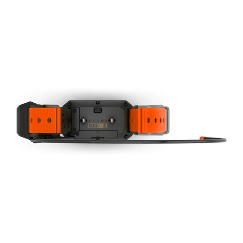 Alpha® TT 25 Dog Collar