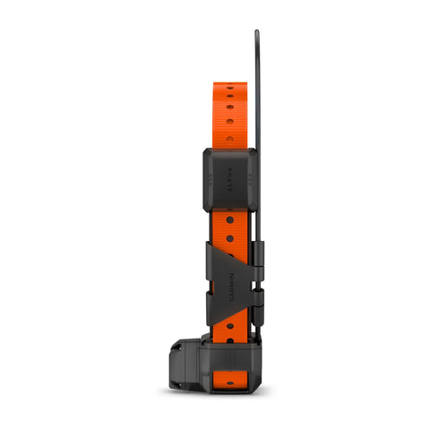 Alpha® TT 25 Dog Collar with Tracking Beeper
