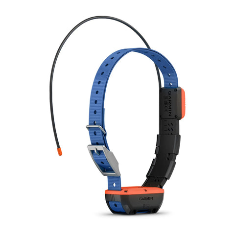 Alpha® T 20 Dog Collar