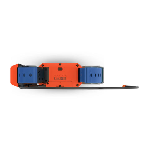 Alpha® T 20 Dog Collar