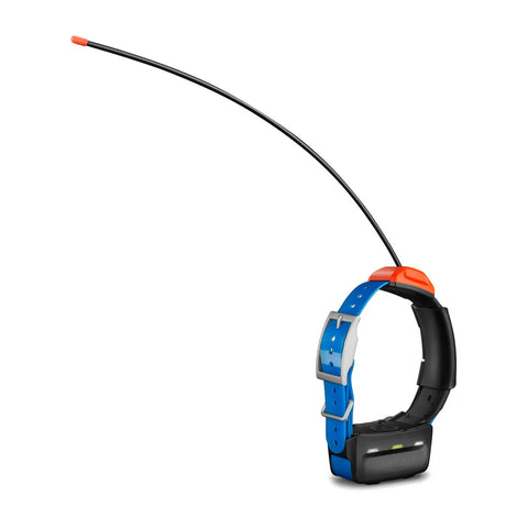 T 5X Dog Collar
