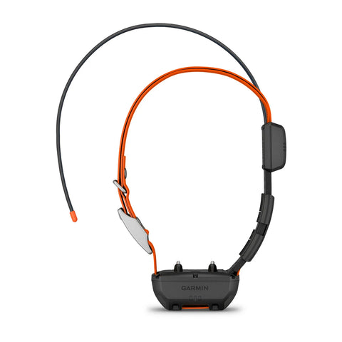 Alpha® TT 25 Dog Collar