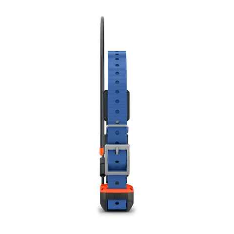 Alpha® T 20 Dog Collar