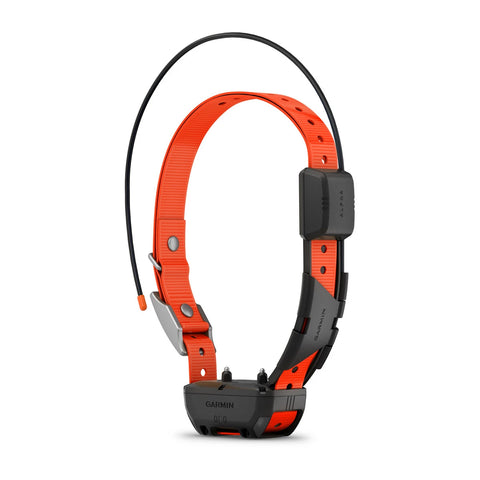 Alpha® TT 25 Dog Collar