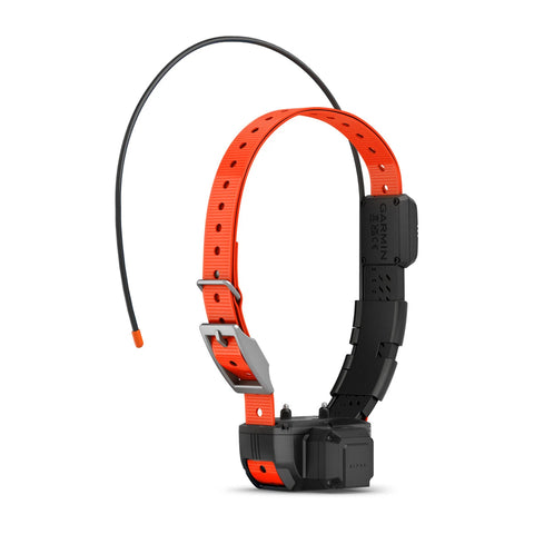 Alpha® TT 25 Dog Collar with Tracking Beeper