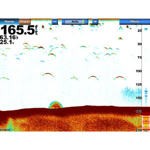 GSD™ 24 Advanced Sonar Module