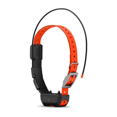Alpha® TT 25 Dog Collar