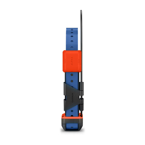 Alpha® T 20 Dog Collar