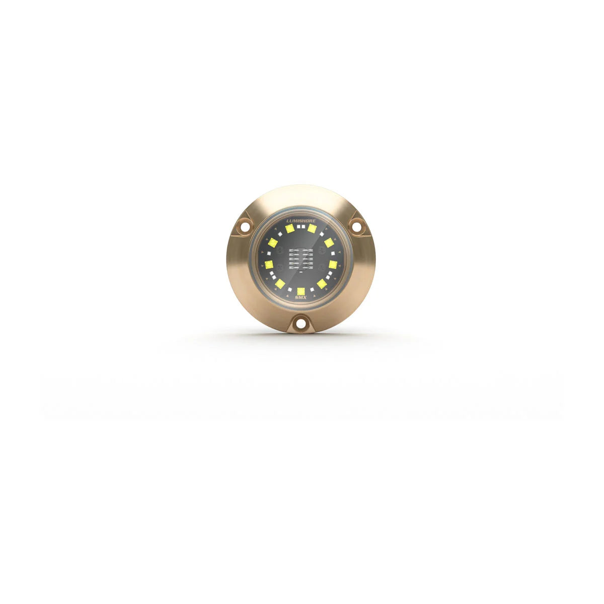 Lumishore® SMX24 Underwater Surface Mount