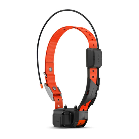 Alpha® TT 25 Dog Collar with Tracking Beeper